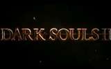 1355050822-dark-souls-2